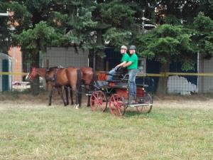 Uspešni nastopi središkega konjeniškega društva na tekmovanjih 3